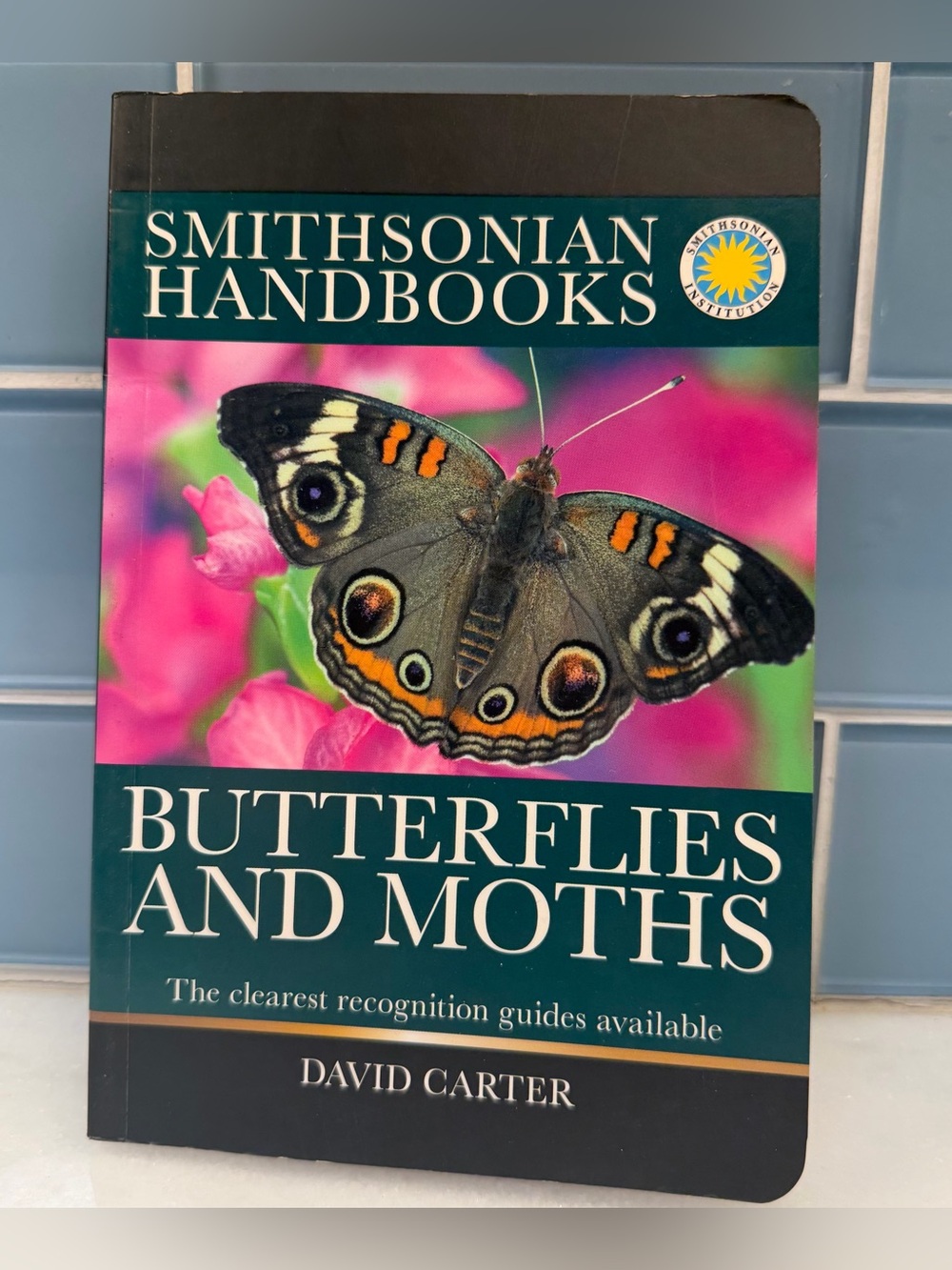 Smithsonian Handbooks Butterflies and Moths David Carter 2009 Paperback Guide
